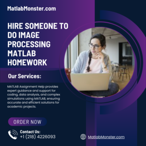 Hire Someone To Do Image Processing Matlab Homework