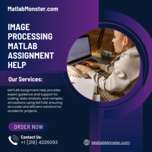 Image Processing Matlab Assignment Help