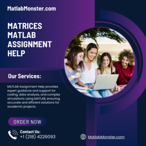 Matrices Matlab Assignment Help