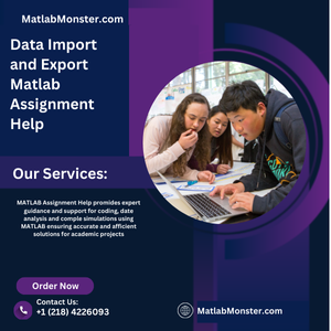 Data Import and Export Matlab Assignment Help