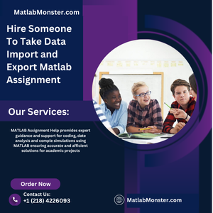 Hire Someone To Take Data Import and Export Matlab Assignment