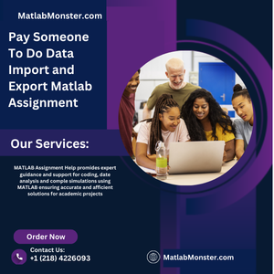 Pay Someone To Do Data Import and Export Matlab Assignment